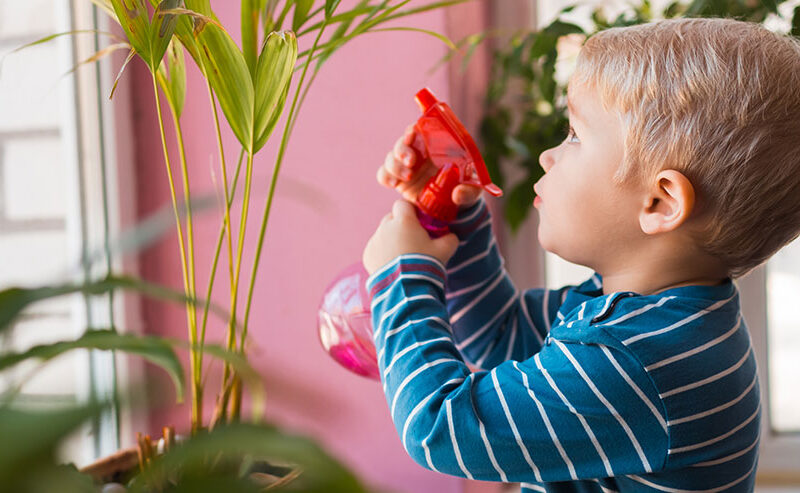 small child watering indoor plants