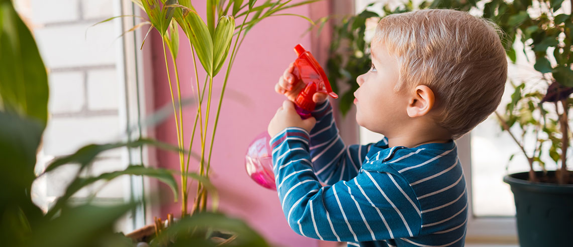 small child watering indoor plants